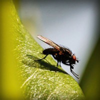 /album/meczedlakazdego/photolia-a04-jpg/