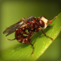 /album/meczedlakazdego/photolia-a06-jpg/