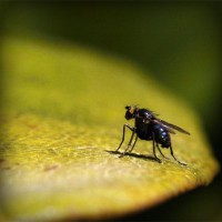 /album/meczedlakazdego/photolia-a07-jpg/